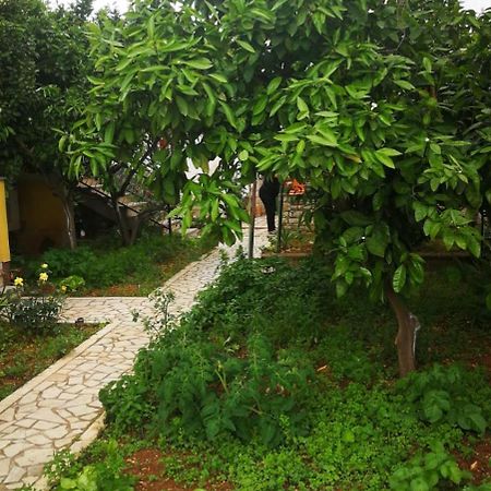 Tar-Vabriga Apartment Dalmatini מראה חיצוני תמונה